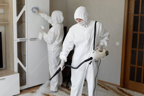 Mold Testing and Removal in Difficult Run, VA