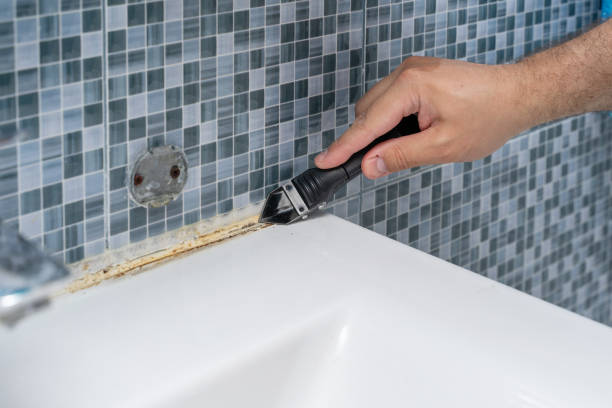 Best Certified Mold Removal  in Difficult Run, VA